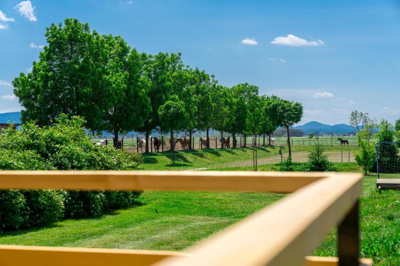Horse Glamping Park Hotel Cirkovce Екстериор снимка