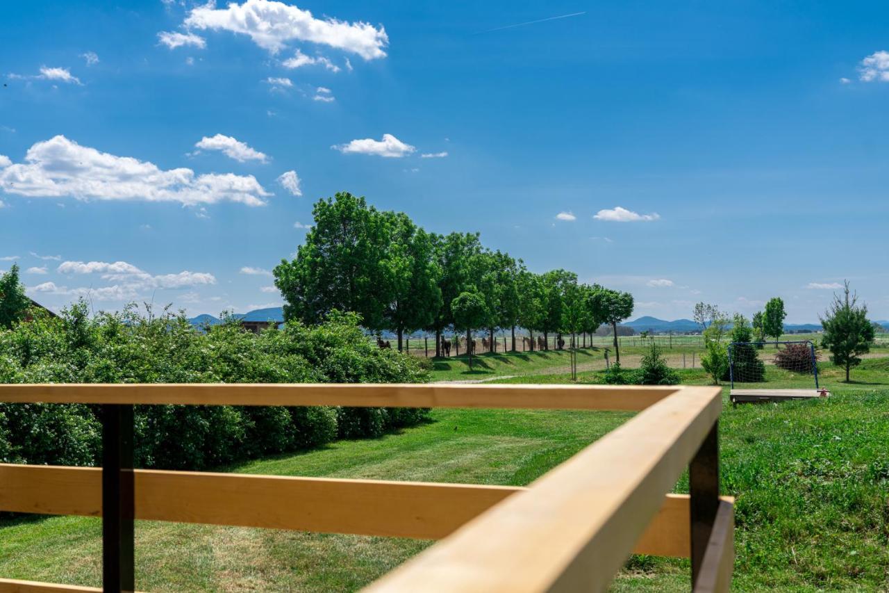 Horse Glamping Park Hotel Cirkovce Екстериор снимка